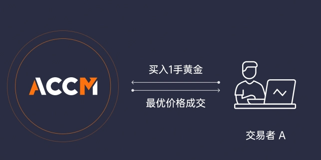 ACCM自动交易平台:ECN账户与官网指南